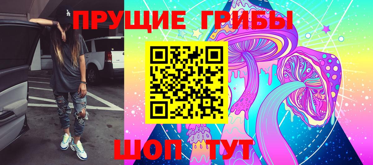 Псилоцибиновые грибы ЛСД Михайловка