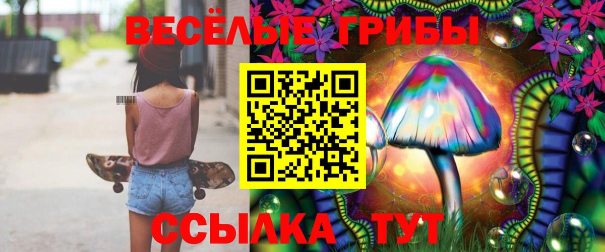 Михайловка  Галлюциногенные грибы мицелий  Вход с VPN  Галлюциногенные грибы прущие грибы 